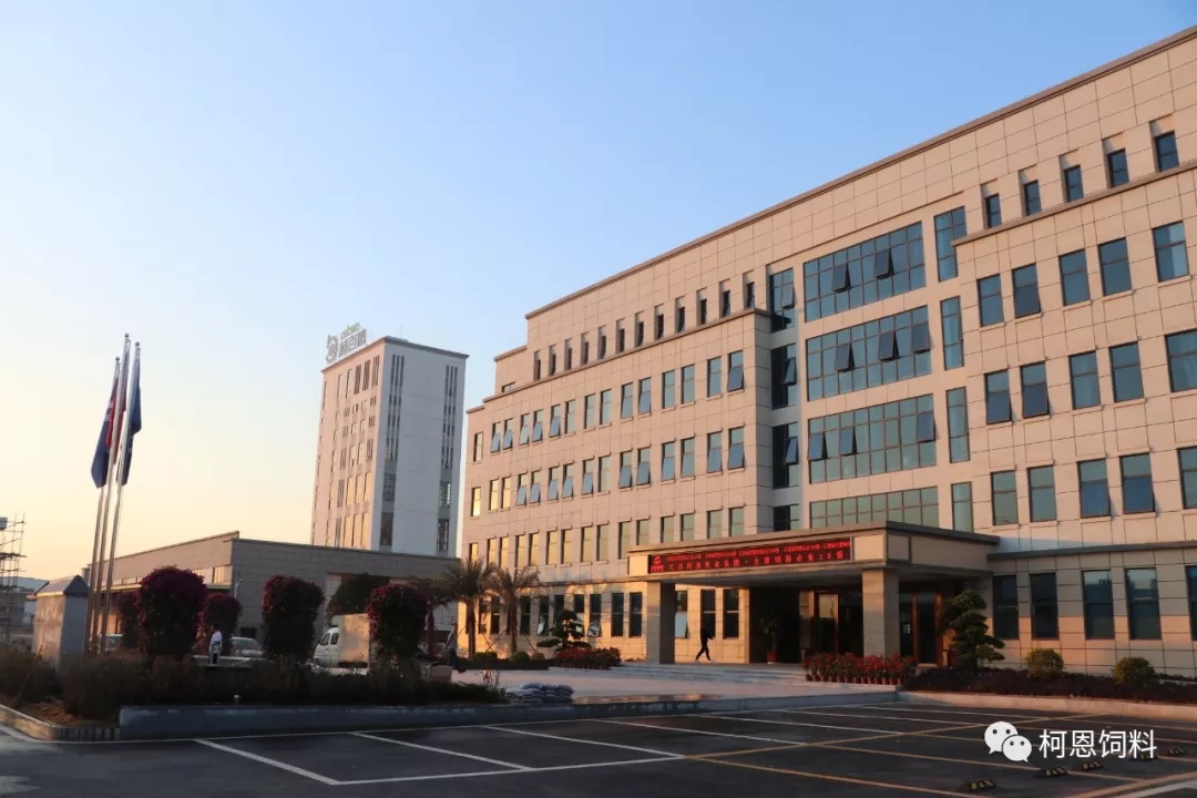 图说37000cm威尼斯新总部